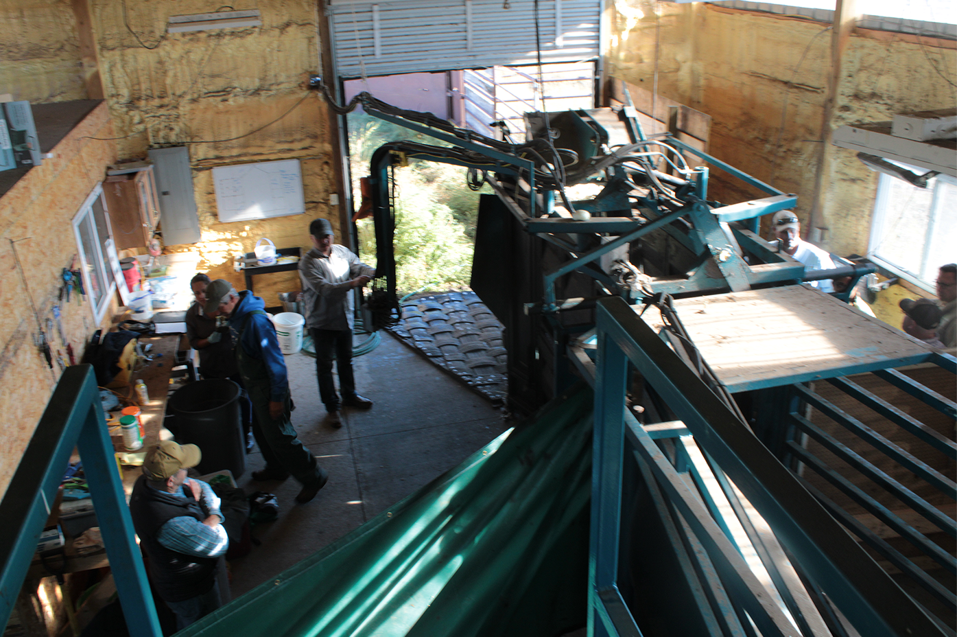 A look at the inside of the research shed, showing workers gathering at a bison chute.